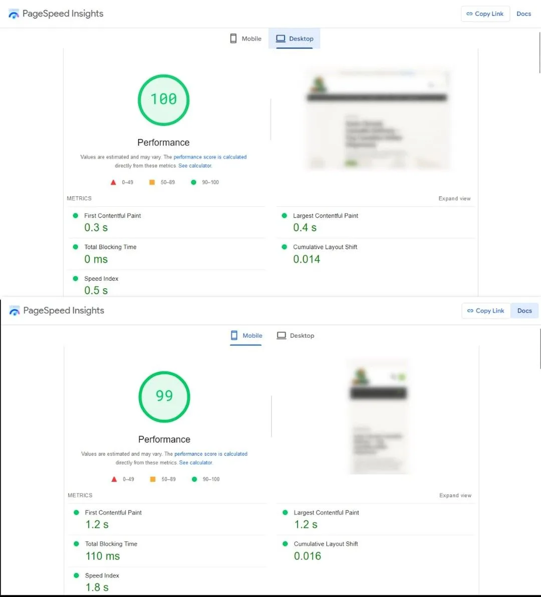 Client PageSpeed Insights report: 100 on desktop and 99 on mobile after our optimization