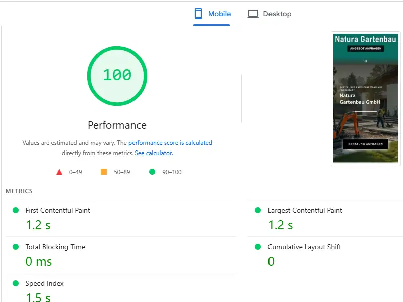 PageSpeed Insights result with a 100 performance score, 1.2s LCP and 0 CLS